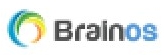 Brainos favicon